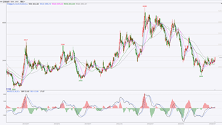 资料来源：文华财经