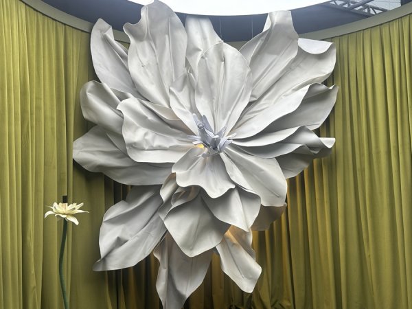 全电配资 国货“炸场”2025WDCC，小小美妆护肤品正在搅动全球市场